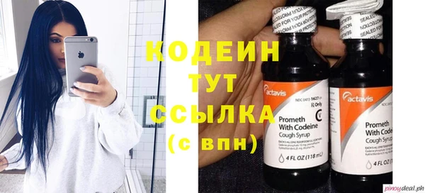 дживик Белокуриха