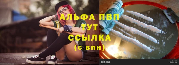 шишки Белоозёрский