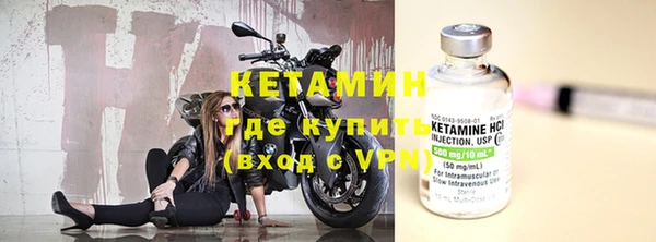 шишки Белоозёрский
