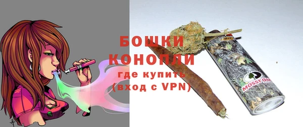 шишки Белоозёрский