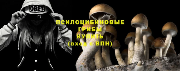 крисы Богданович