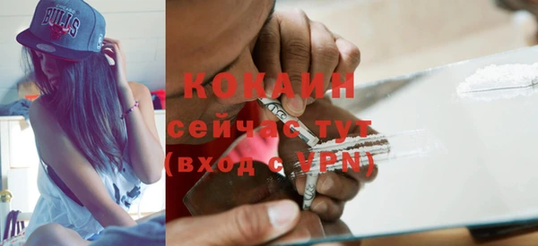 дживик Богородицк