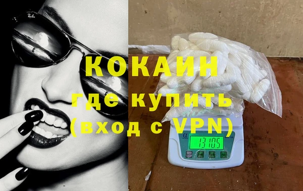 шишки Белоозёрский