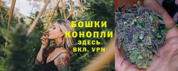 mix Богородск