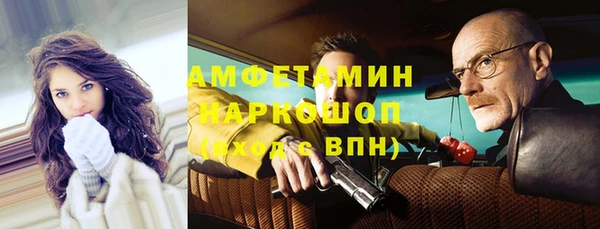 шишки Белоозёрский