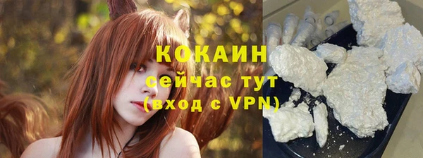 mix Богородск